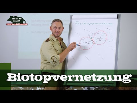 Biotopvernetzung - Für ein gesundes Ökosystem im Revier | Back to Hunt