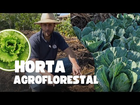 Faça uma HORTA assim!