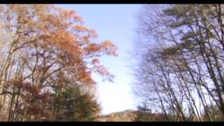 Neon Indian - Local Joke