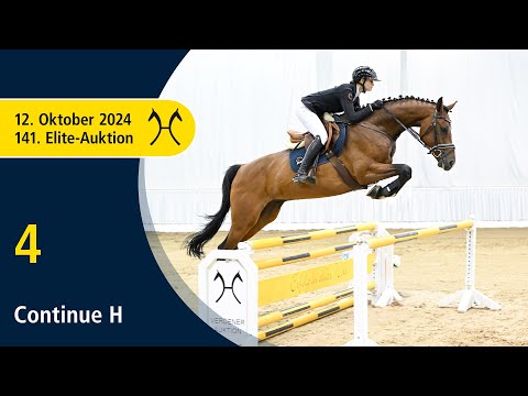 No. 4 Continue H by Conthargos - Stakkato | 141. Verden Elite-Auction on October, 12th