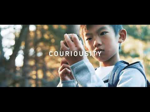 Zhafir Plastics Machinery: Premium, Precision Injection Molding Machines