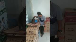 Download lagu viral pawang kucing bisa berbicara dengan kucing mp3 Download lagu viral pawang kucing bisa berbicara dengan kucing mp3