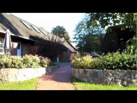 Islandpferdegestüt Kronshof - www.kronshof.de