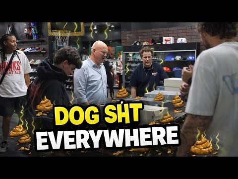 Frankie and Cool Kicks