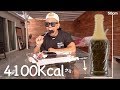 巨大4100kcalのハイカロリー コーラグミ! 悲惨な挑戦 【個人的にベストEpi!】