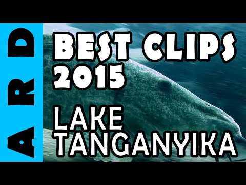 Lake Tanganyika - 2015