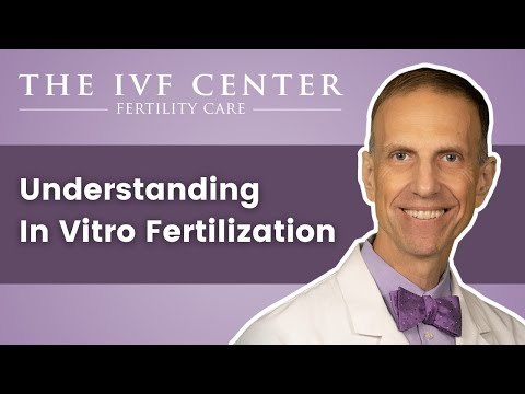 Understanding In Vitro Fertilization | The IVF Center
