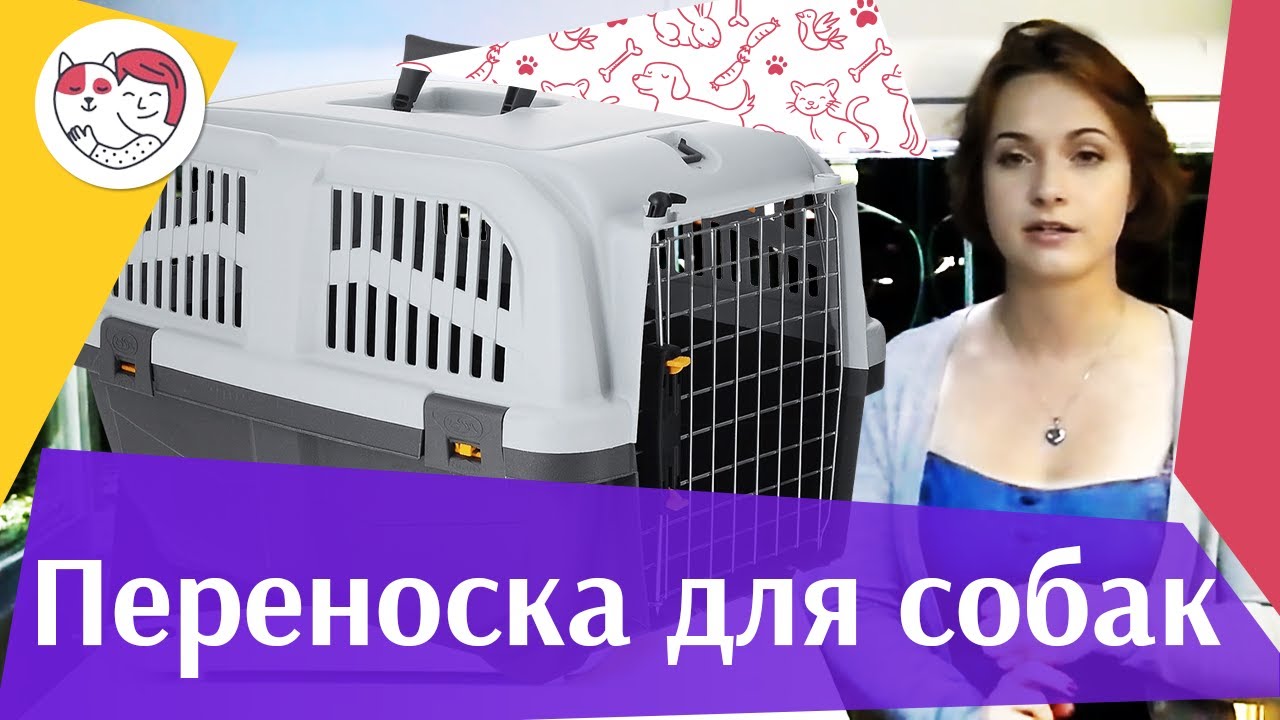 Переноски для собак на ilikepet