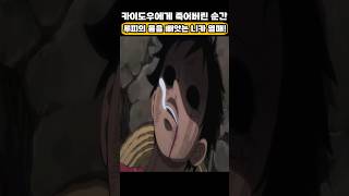 🔥미친 작화🔥 루피의 몸을 빼앗는 니카열매! #원피스