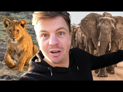 BEST SAFARI in BOTSWANA (Chobe National Park)