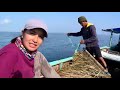 Vika Fitriyana Panen Telur Ikan Terbang JEJAK PETUALANG 15 09 21