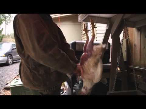 , title : 'Video 1 : Hoe slacht je een kip nederlandse survival prepper stijl hollandia preppers'