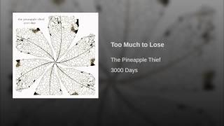 Too Much to Lose