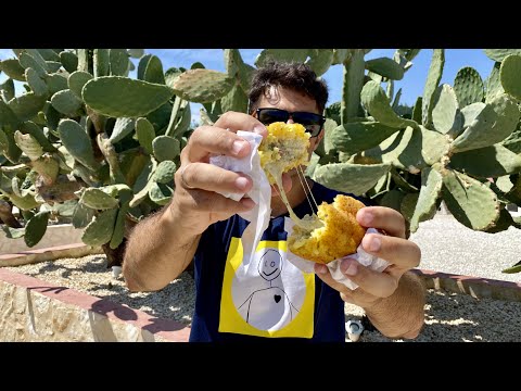 Italian Street Food in Sicily where you can eat Spectacular food with few Euro - Very Italian Food 🤪