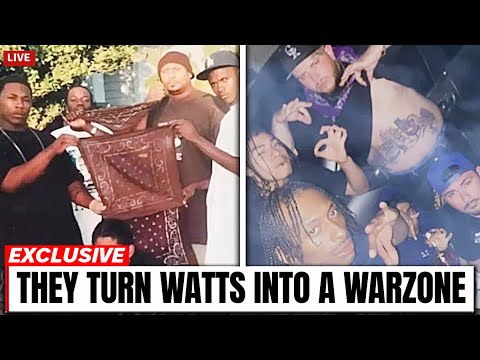 The Most INSANE Gang Rivalry: Fudge Town Mafia Crips vs Watts Varrio Grape