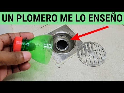 Un Truco Para Alejar a Las Cucarachas De Tu Desagüe