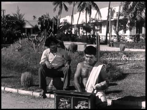 Parasakthi | Tamil Movie Comedy | Sivaji Ganesan | Pandari Bai