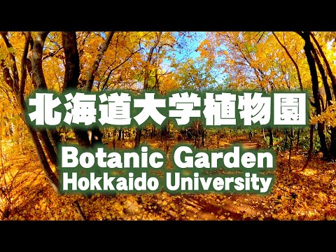 秋の温室：場所を変えてみませんか？地球を再生するにはどうすればよいでしょうか？  庭園