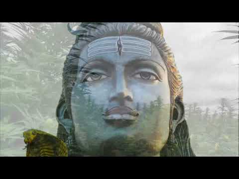 Karmacosmic - Shiva OM Café