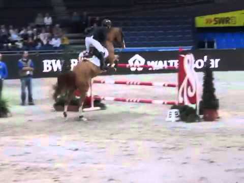 Grand cru csiw Stuttgart