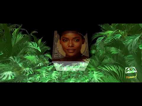 Dj Disciple, Michelle Weeks - Turn It Around (Risk Assessment Remix) [Catch 22]