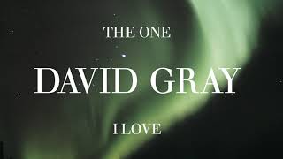 David Gray - The One I Love - Acoustic Version (Official Audio)