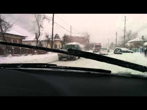 Cod portocaliu Dolj-Podari