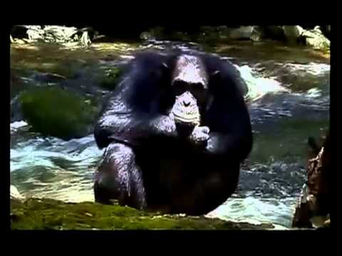 David Lyttle - Septembertime