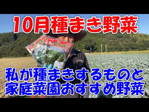  10月に種をまくべき野菜は何ですか?家庭菜園で簡単にできる種まき 5 つ  庭園