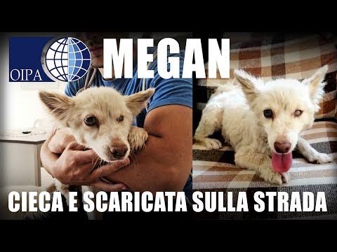 LE ISTITUZIONI FINGONO DI NON VEDERE LA SUA MALATTIA E MEGAN RIMANE CIECA