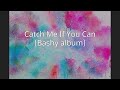 Catch Me If You Can (Bashy album)