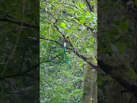 El refugio del Quetzal en San Marcos