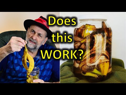 Banana  Peel Fertilizer - Does it Work?