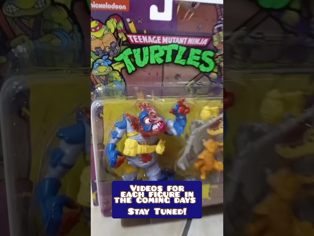 Vídeo relacionado con Buckle-Down Web Belt Ninja Turtles 3.2 cm, Classic Tmnt - Caras de 8 bits, color verde, 1.25" Wide - Fits up to 42" Pant Size
