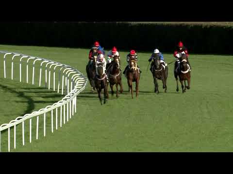 2020.10.04. 08. futam - BÉRCZY KÁROLY EMLÉKVERSENY (I. kat.)