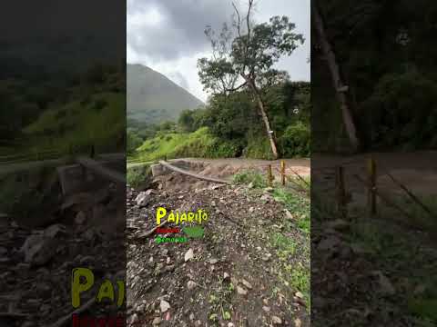 Quebrada la guacha caída de puente (Labranzagrande - Yopal)(Oct. 28/2026)