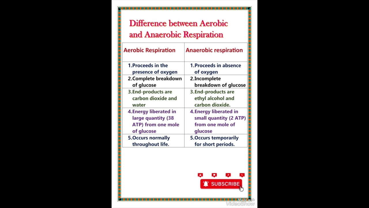 Difference between aerobic and anaerobic respiration