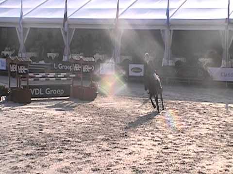 stal krabbebos eurocommerce new york