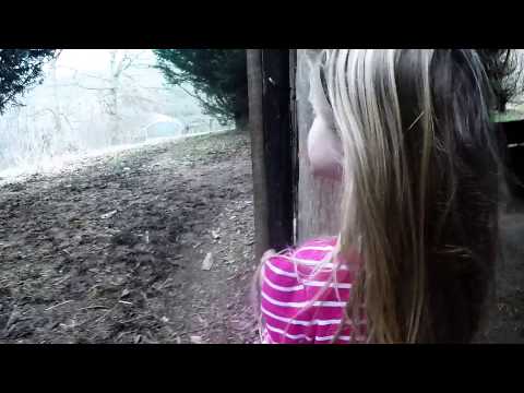 Let It Goat (sorry to anyone that watches this)