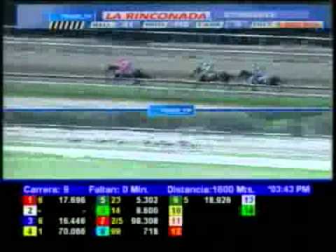 CLASICO J A PAEZ 2012 DOM 27 MAYO LA RINCONADA AUDIOHIPISMO