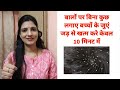 बालों पर बिना कुछ लगाए बच्चों के जुएं �
