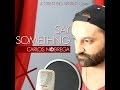 Say something (A Great Big World cover) 