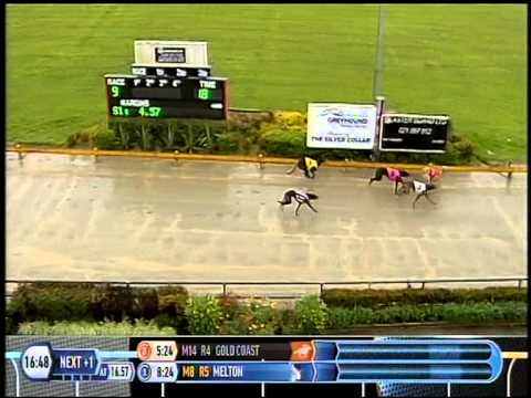 AGRC 30.8.15 Hashtag Josh