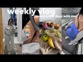 WEEKLY VLOG Apartment Decor Shopping Life Updates Moving Spend A Few Days With Me