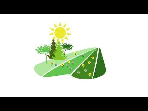 Nitrogen, from blessing to environmental problem