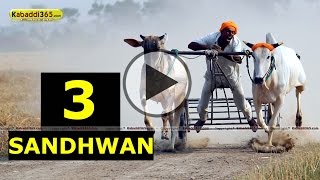 (1) Sandhwan (Nawanshahr) Ox Race 17 May 2015