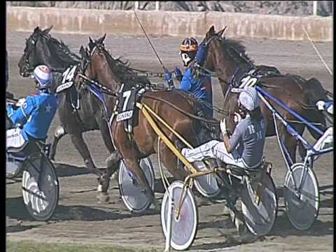 Trotto 29/04/2017 - 5ª corsa