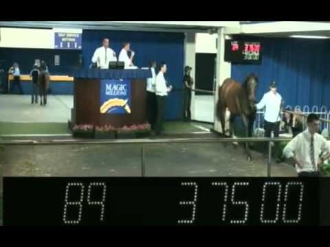 2012 Magic Millions Perth Yearling Sale Lots 1 - 190