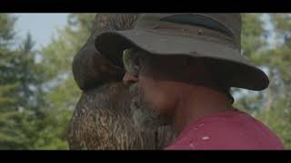 Carvings of the Adirondacks