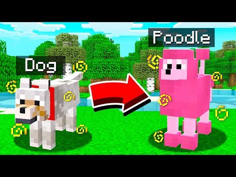 HOW TO TRANSFORM YOUR DOG IN MINECRAFT!